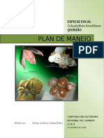 Plan de Manejo Barcino 