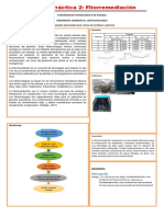 Practica 2 Fitorremediación