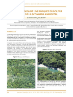 Importancia de Los Bosques en Bolivia