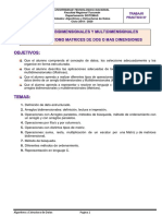 Ejemplos Desarrollados Matrices