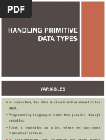 Handling Primitive Data Types