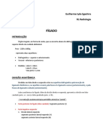 TRABALHO - Fig ..docx