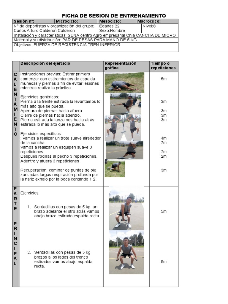 Inmunidad Fácil de suceder Comercialización Ficha de Secion de Entrenamiento | PDF | Deportes | Violencia