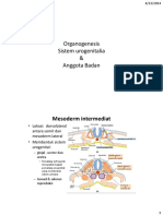Turunan-mesoderm-urogenital-limb-2014.pdf
