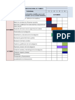 Cronograma de Avance y Entregas - Proyecto de Tesis Belkis