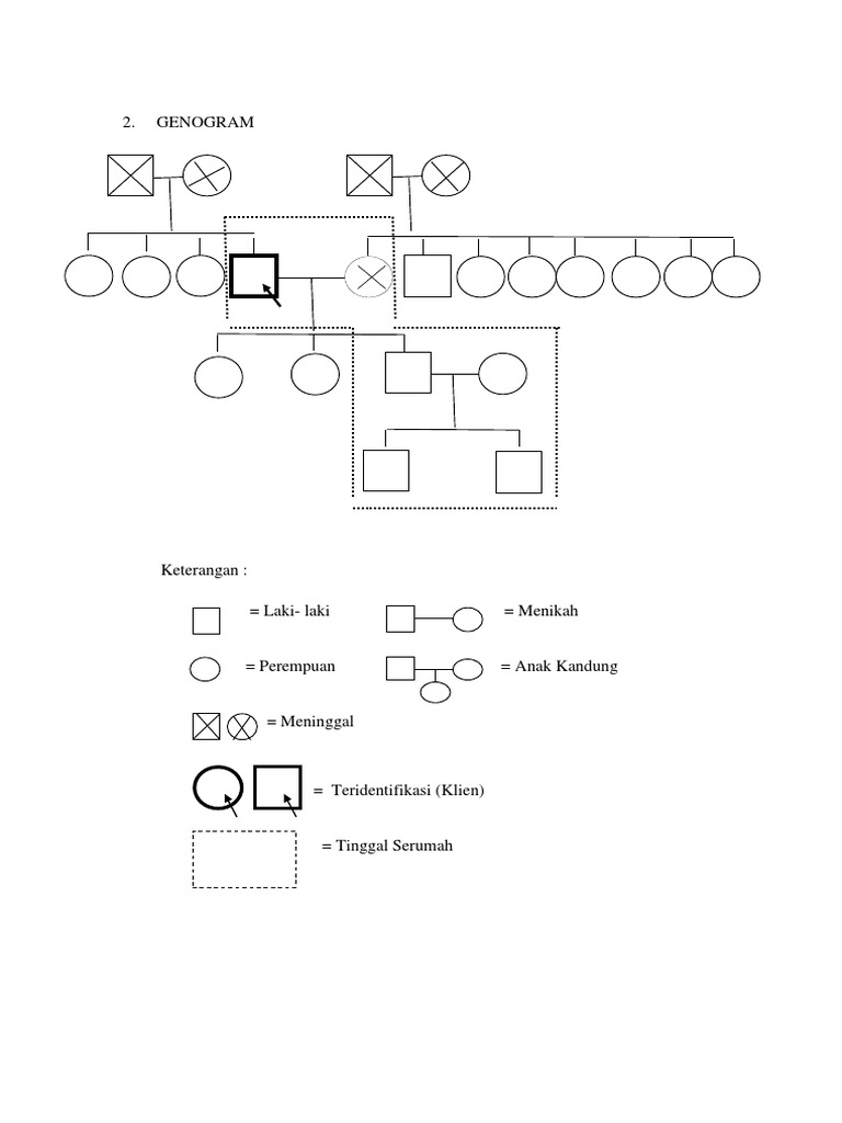 Genogram Keluarga Tn. T dengan Hipertensi | PDF