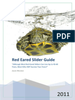 Red Eared Slider Guide