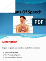 Organs of Speech