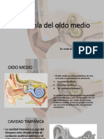 Anatomía Del Oído Medio