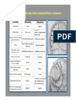 Intraaxial vs Extraaxial