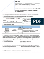 Evaluación Respiración en Los Seres Vivos