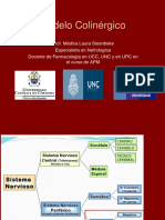 MODELO COLINÉRGICO Completo2018.pdf