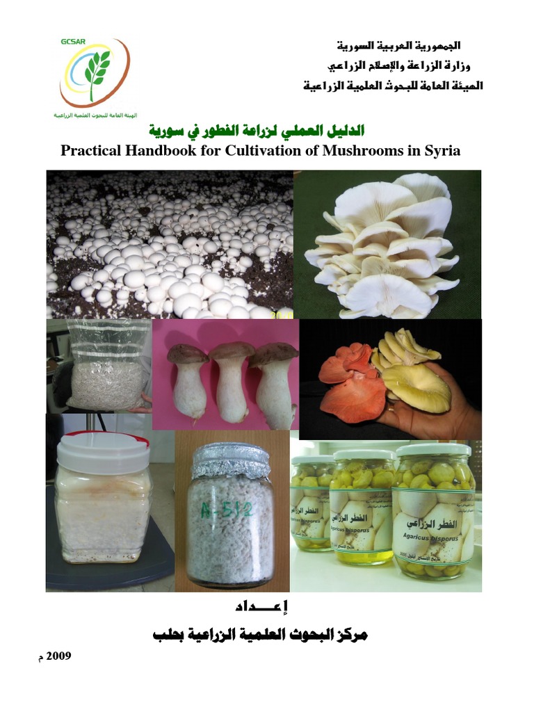 Practical Handbook For Cultivation Of Mushrooms In Syria