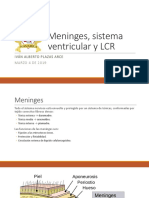 Clase 9 - Meninges