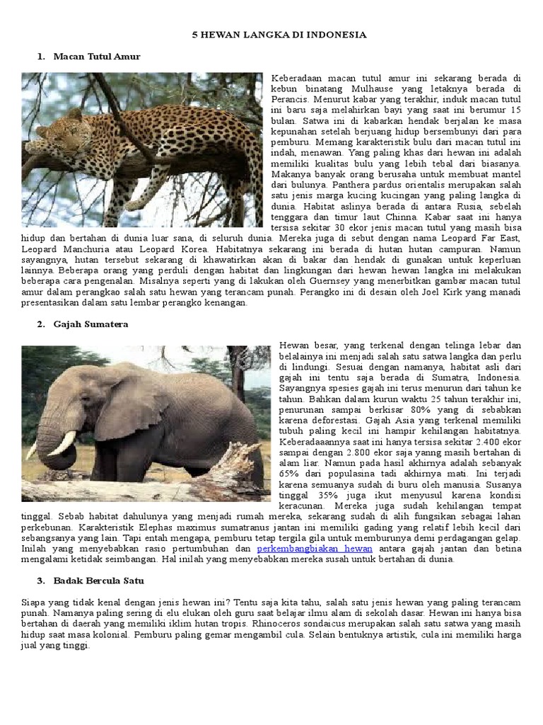 5 Hewan Langka Dan Tumbuhan Langka Docx
