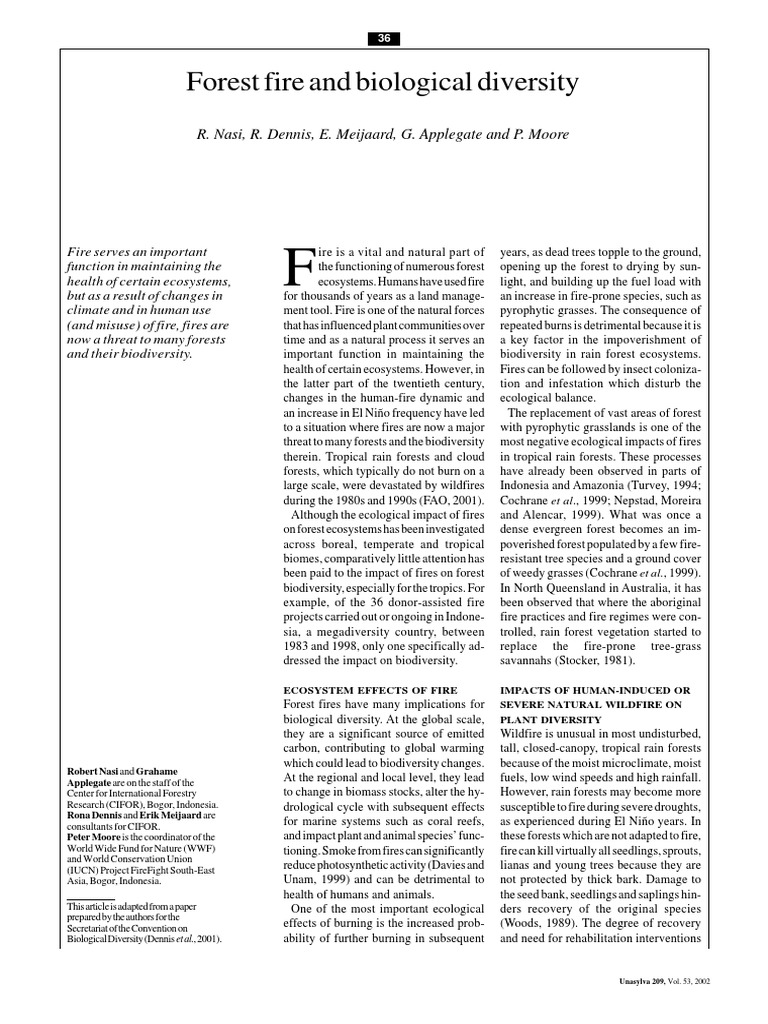 Fire Effects PDF PDF Wildfire Forests