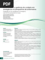 Gerencia Do Cuidado Em Emergência