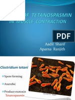 Effect of Tetanospasmin