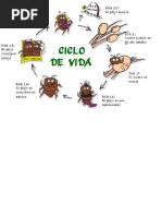 Atividades Com o Corpo