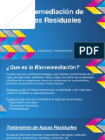 biorremediacic3b3n-de-aguas-residuales.pptx