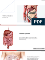 Sistema-Digestivo-Mia.pptx