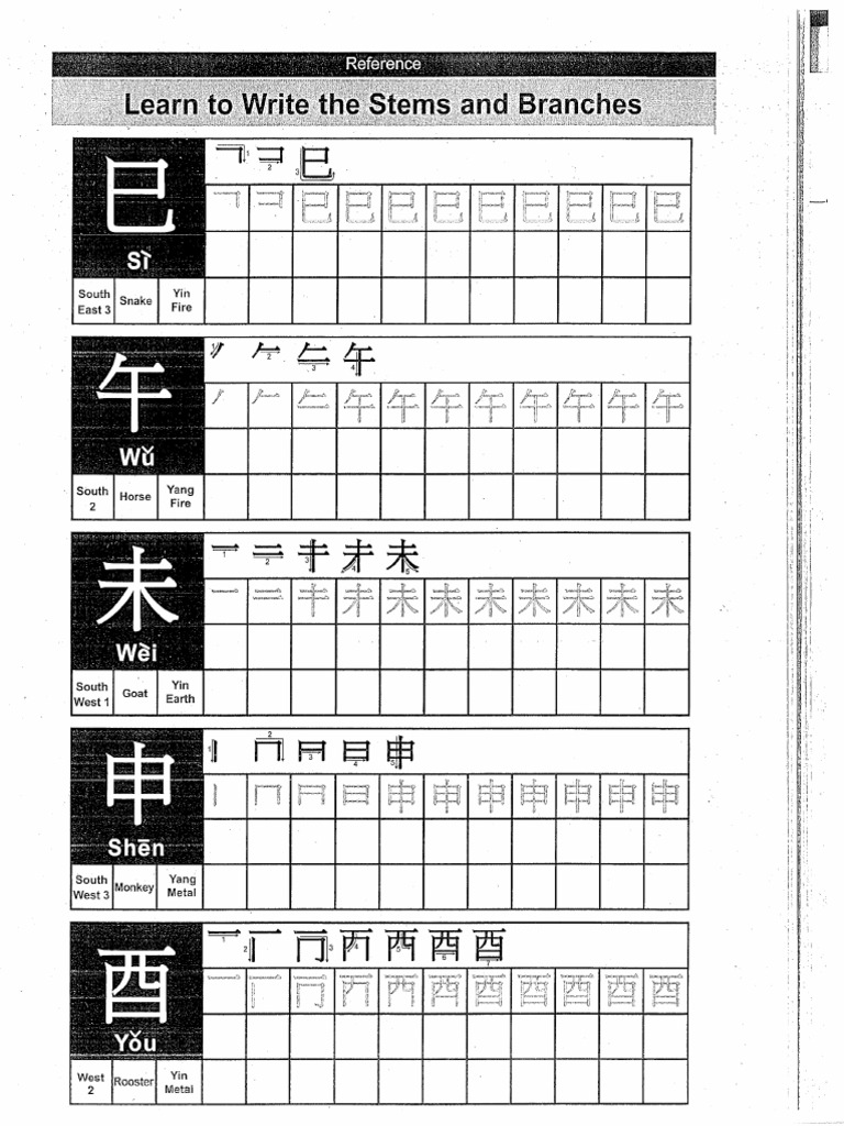 How To Write or Draw Stems and Branches PDF