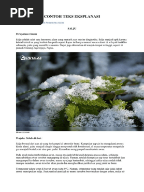 Contoh Teks Eksplanasi Fenomena Alam