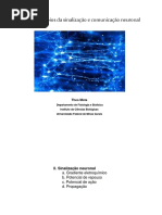 Aula033 Neuro1 - Theo