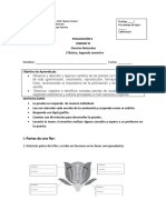 Evaluación de Ciencias Naturales sobre ciclo de vida de plantas