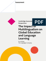 Perspectives Impact On Multilingualism