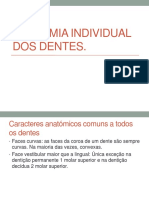 ANAtomia dental individual para asb