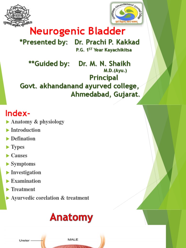 Neurogenic Bladder: Causes and Treatments | PDF | Urinary Incontinence ...