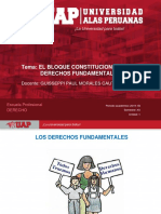  El Bloque de Constitucional