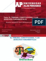 SESION 4. EL TRIBUNAL CONSTITUCIONAL  Y LOS DD FF.ppt