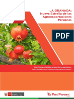 Informe-Tecnico-de-Granada (1).pdf