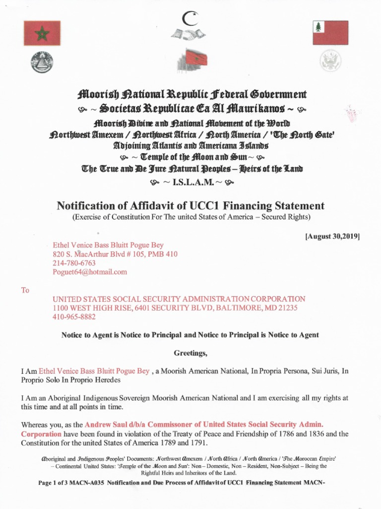 Ucc 1 Financing Statement Strawman Lien MacnR000000002 Ethel Venice