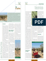 Cultivo-del-pistacho.pdf