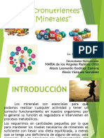 Expo Minerales (1)