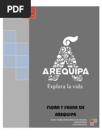 Taller Arequipa