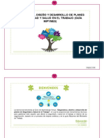 Módulo Introductorio - Diagnóstico, Diseño y Desarrollo de Planes de SST (Guía Mipymes) PDF
