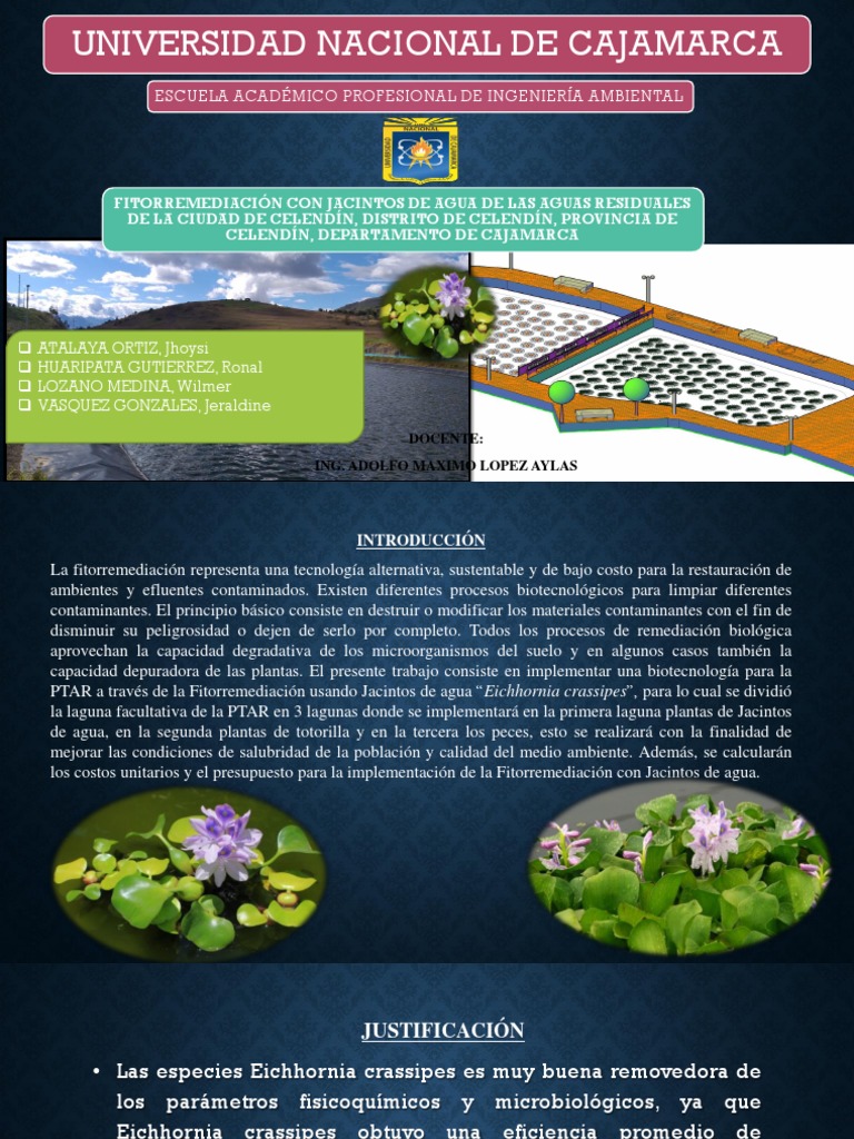 Cálculo De Costos De La Ptar Fitorremediación Con Jacinto De Agua Pdf