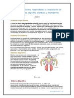 Sistemas respiratorios, circulatorios y digestivos en aves, peces, reptiles, anfibios y mamíferos