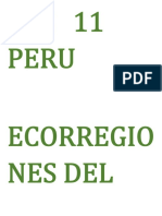 Ecorregiones Del Peru