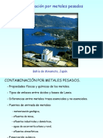 Leccion 32 Contaminacion Por Metales