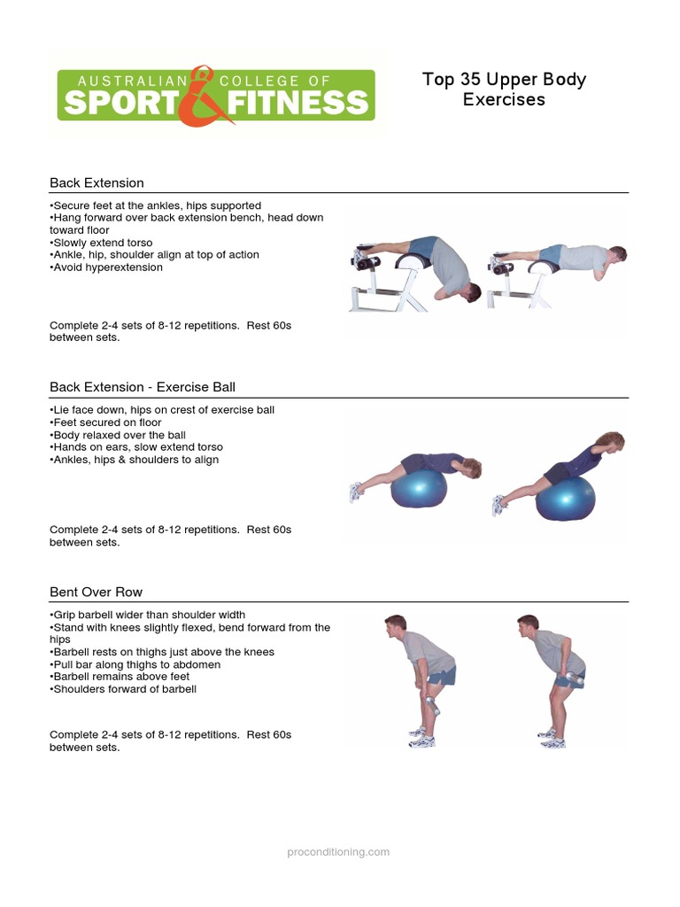 Top 35 Upper Body Exercises: Back Extension | PDF | Anatomical Terms Of ...