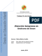 TFG_MolinaCastillo,Fátima.pdf