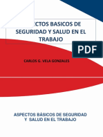 13 - Aspectos Basicos de Seguridad y Salud en El Trabajo