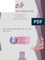 Embarazo Adolescente Resumido