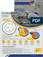 SABA ASRI Sea Turtle Ecotourism