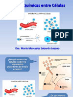 2013-SEÑALES QUÍMICAS ENTRE CÉLULAS.pptx